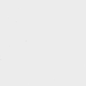 Meet your Posher, Brendan